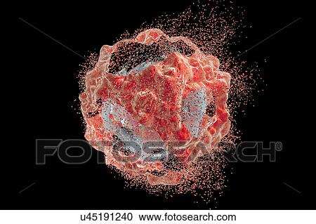 Stock Image - Destruction of a cancer cell, illustration. Fotosearch