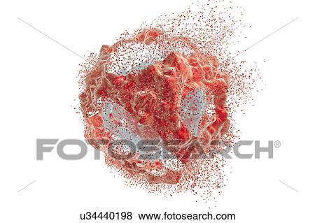 Destruction of a cancer cell, illustration View Large Photo Image Stock Photo - Destruction of a cancer cell, illustration. Fotosearch