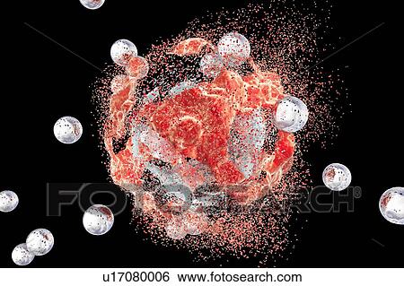 Stock Photograph - Destruction of a cancer cell, illustration. Fotosearch
