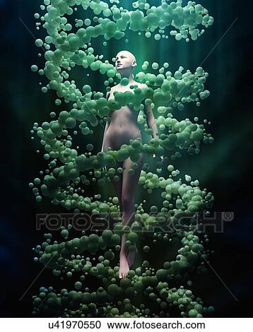 Stock Image - DNA double helix and human form. Fotosearch
