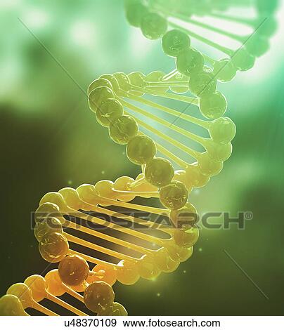 Stock Photo - DNA double helix. Fotosearch