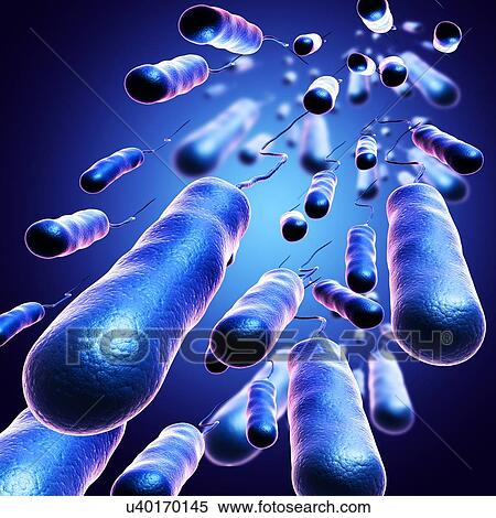 E. coli bacteria, illustration View Large Photo Image Stock Photography - E. coli bacteria, illustration. Fotosearch