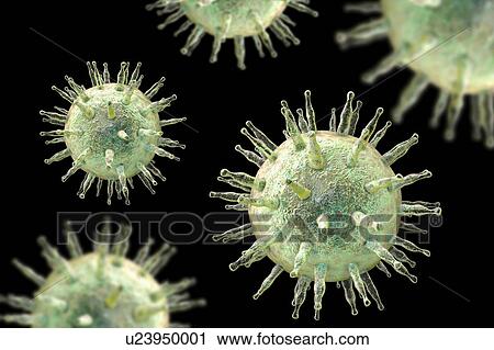 Epstein-Barr virus, illustration View Large Photo Image Stock Image - Epstein-Barr virus, illustration. Fotosearch