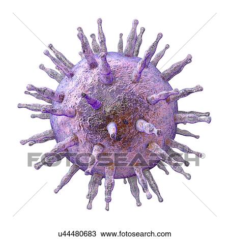 Stock Image - Epstein-Barr virus, illustration. Fotosearch