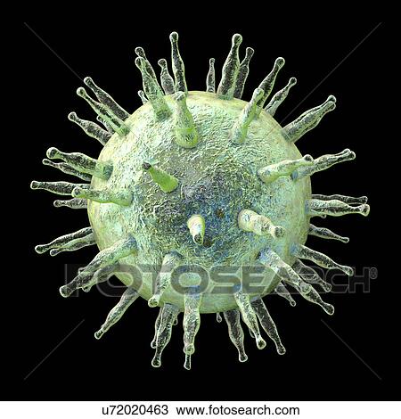 Stock Image - Epstein-Barr virus, illustration. Fotosearch