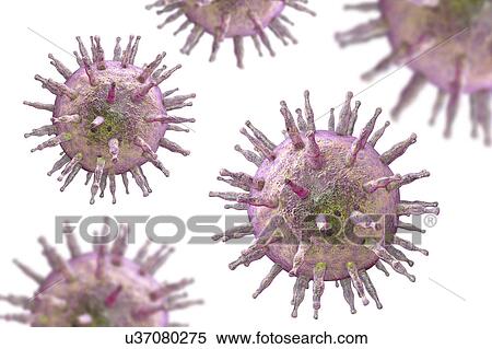 Stock Photography - Epstein-Barr virus, illustration. Fotosearch
