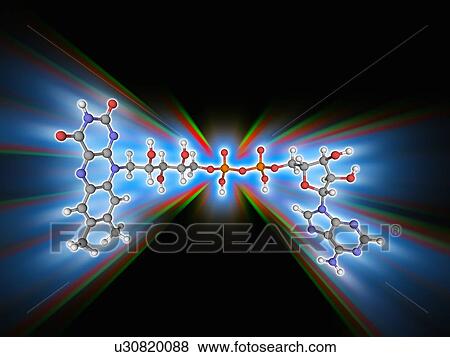 Stock Photo - FAD (flavin adenine dinucleotide) molecule. Fotosearch