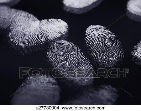 Picture - Finger Prints. Fotosearch