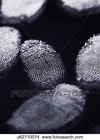 Picture - Finger Prints. Fotosearch