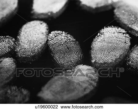 Stock Image - Finger Prints. Fotosearch