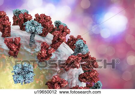 Stock Image - Flu virus, illustration. Fotosearch