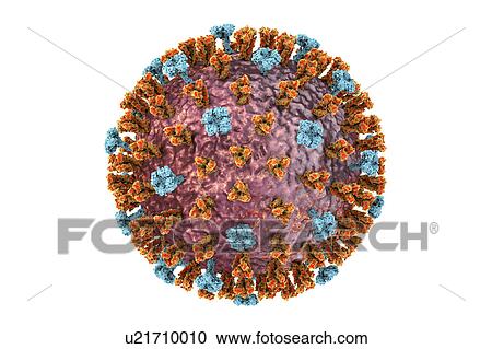 Stock Image - Flu virus, illustration. Fotosearch