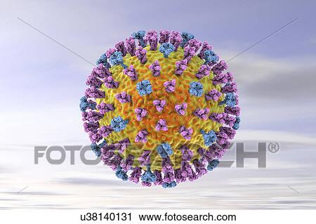 Stock Image - Flu virus, illustration. Fotosearch