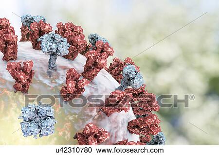 Flu virus, illustration View Large Photo Image Stock Image - Flu virus, illustration. Fotosearch