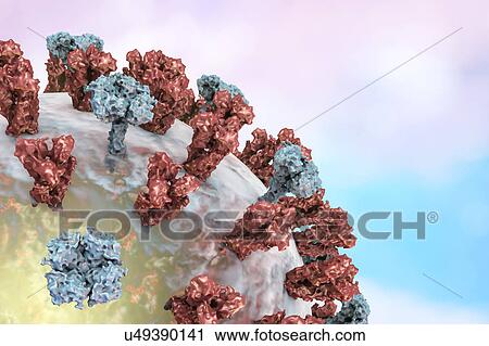 Stock Image - Flu virus, illustration. Fotosearch