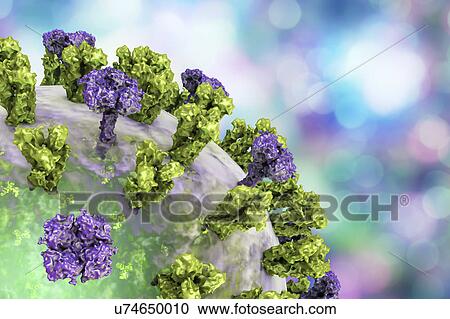 Stock Image - Flu virus, illustration. Fotosearch