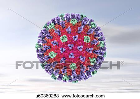 Flu virus, illustration View Large Photo Image Stock Photo - Flu virus, illustration. Fotosearch