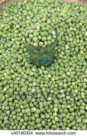 Picture - Fresh peas in market. Fotosearch