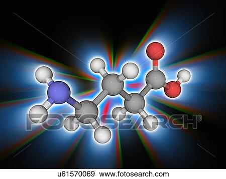 Stock Photo - Gamma-aminobutyric acid (GABA) molecule. Fotosearch