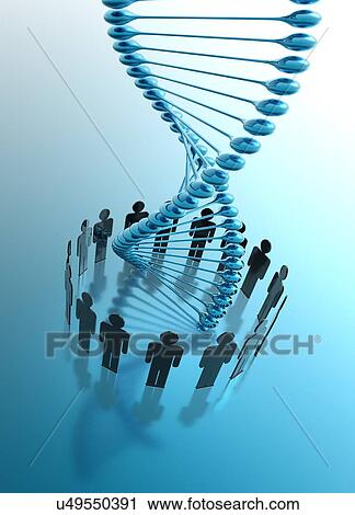 Genetic engineering, illustration View Large Photo Image Stock Image - Genetic engineering, illustration. Fotosearch