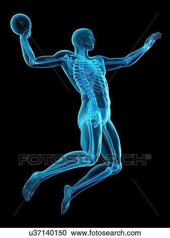 Stock Image - Handball player, illustration. Fotosearch