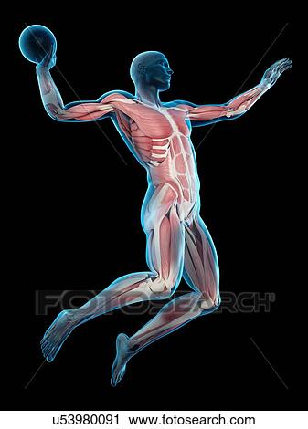 Stock Image - Handball player, illustration. Fotosearch