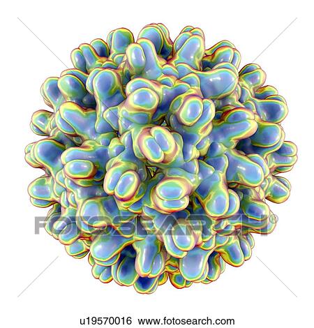 Stock Photograph - Hepatitis B virus particle, illustration. Fotosearch