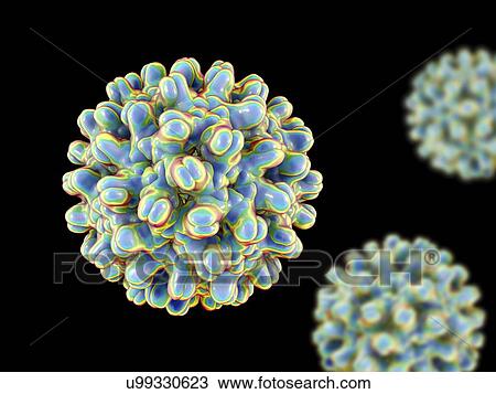 Stock Image - Hepatitis B virus particles, illustration. Fotosearch