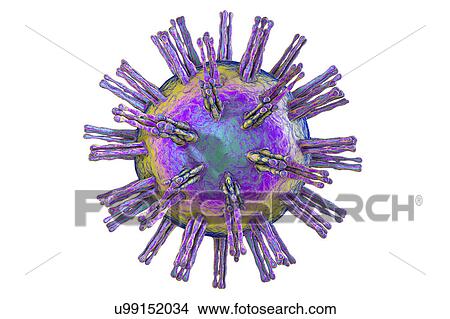 Herpes simplex virus, illustration View Large Photo Image Picture - Herpes simplex virus, illustration. Fotosearch