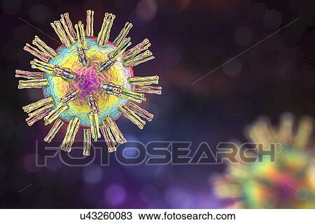Stock Image - Herpes simplex virus, illustration. Fotosearch