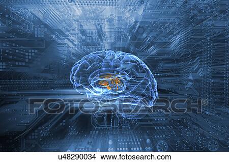 Human brain and circuit board View Large Photo Image Picture - Human brain and circuit board. Fotosearch