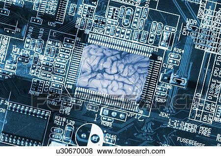Stock Photo - Human brain and computer circuit board. Fotosearch