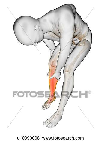 Stock Photo - Human calf pain, illustration. Fotosearch