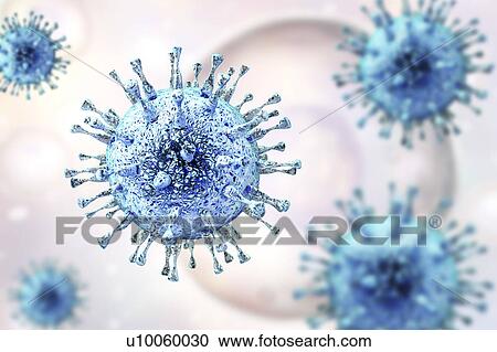 Stock Image - Human cytomegalovirus, illustration. Fotosearch