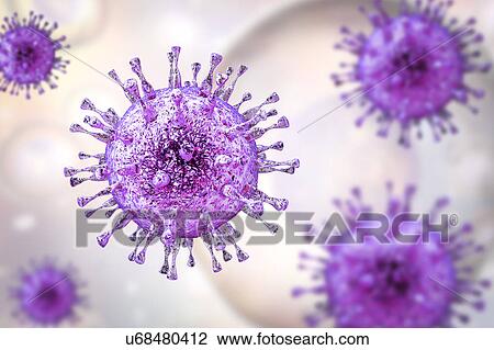 Stock Image - Human cytomegalovirus, illustration. Fotosearch