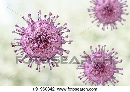 Stock Image - Human cytomegalovirus, illustration. Fotosearch