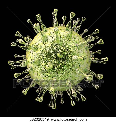Stock Photo - Human cytomegalovirus, illustration. Fotosearch