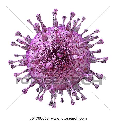 Stock Photo - Human cytomegalovirus, illustration. Fotosearch