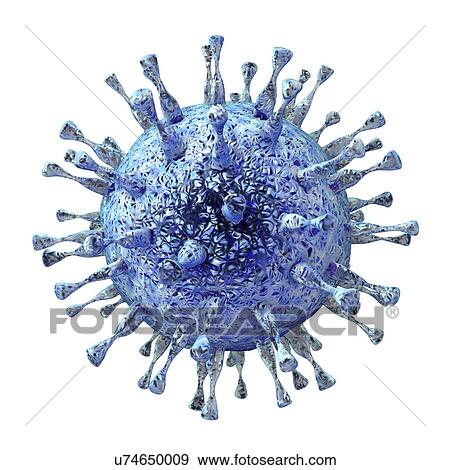 Stock Photo - Human cytomegalovirus, illustration. Fotosearch