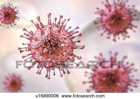 Stock Photograph - Human cytomegalovirus, illustration. Fotosearch