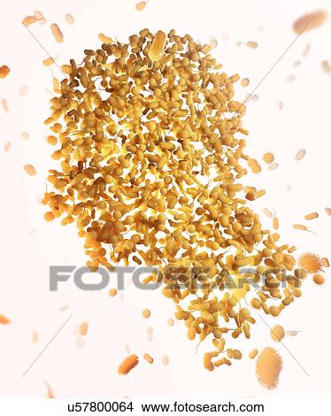 Picture - Human microbiome, conceptual illustration. Fotosearch