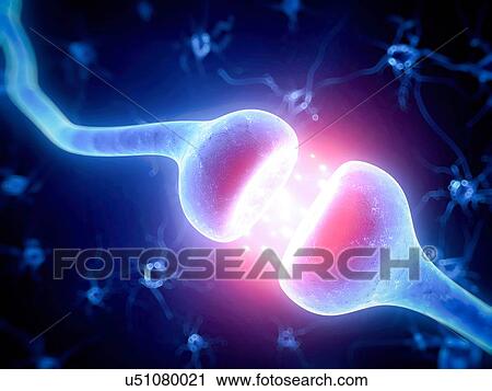Stock Image - Human nerve cell, illustration. Fotosearch