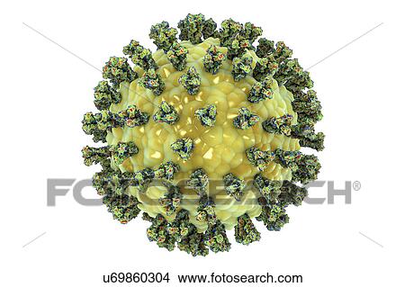 Picture - Human parainfluenza virus, illustration. Fotosearch