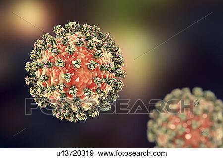 Stock Photo - Human parainfluenza virus, illustration. Fotosearch