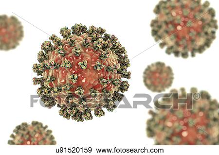Stock Photo - Human parainfluenza virus, illustration. Fotosearch