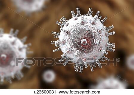 Stock Image - Kaposi's sarcoma virus, illustration. Fotosearch