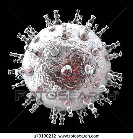 Stock Image - Kaposi's sarcoma virus, illustration. Fotosearch