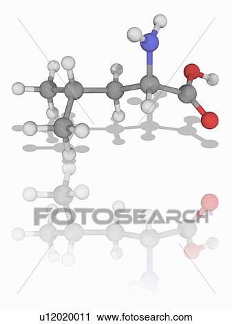 Stock Image - Leucine organic compound molecule. Fotosearch
