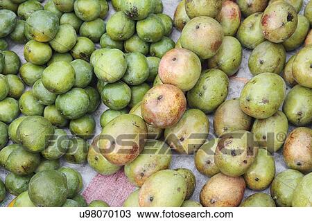 Stock Image - Mangoes in market. Fotosearch