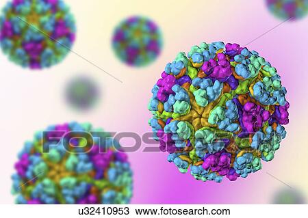 Stock Image - Mayaro virus, illustration. Fotosearch